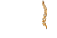 University Spine center